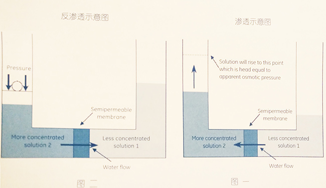 渗透示意图